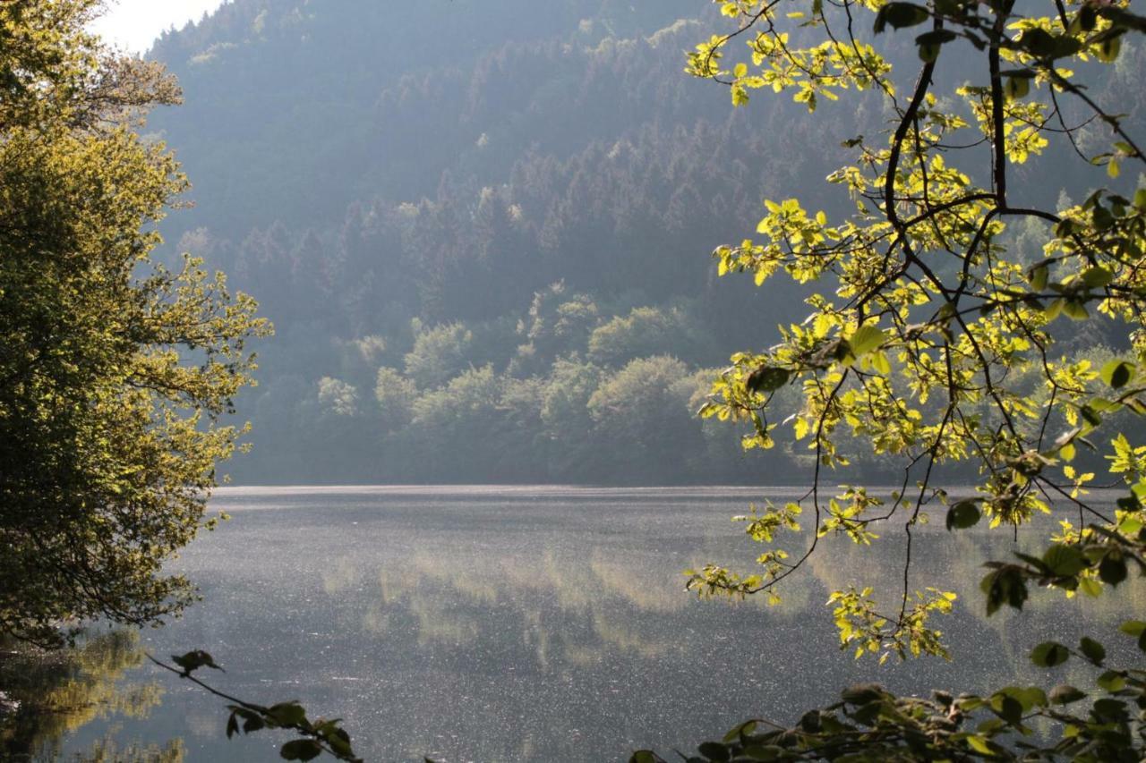 Ferienhaus Lara Heimbach Bagian luar foto